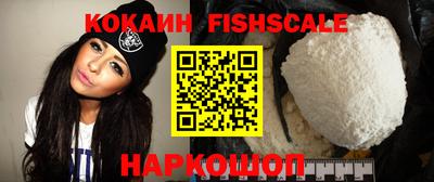 соль ск Партизанск