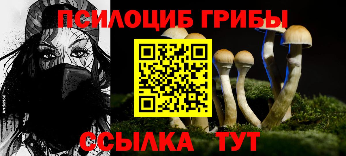 Галлюциногенные грибы Cubensis Сертолово