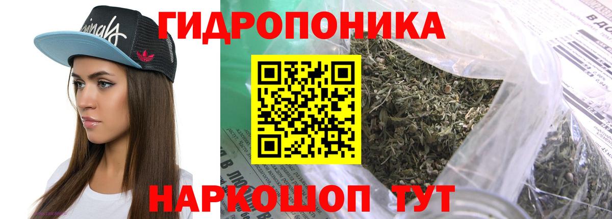Каннабис OG Kush  Вход с VPN  Бошки марихуана сатива  Сертолово  Бошки марихуана Ganja 